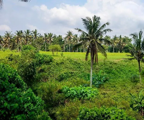 Villa The Rimba By Balisuperhost